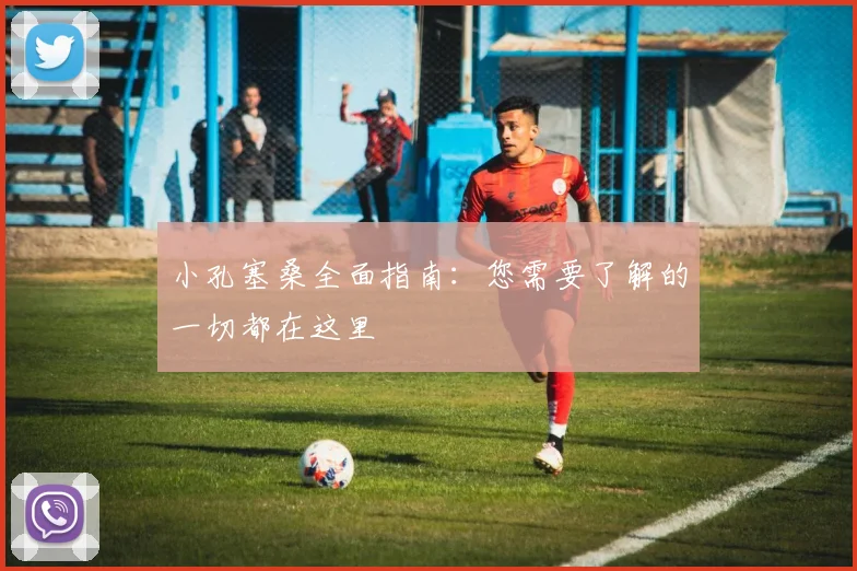 小孔塞桑全面指南:您需要了解的一切都在这里