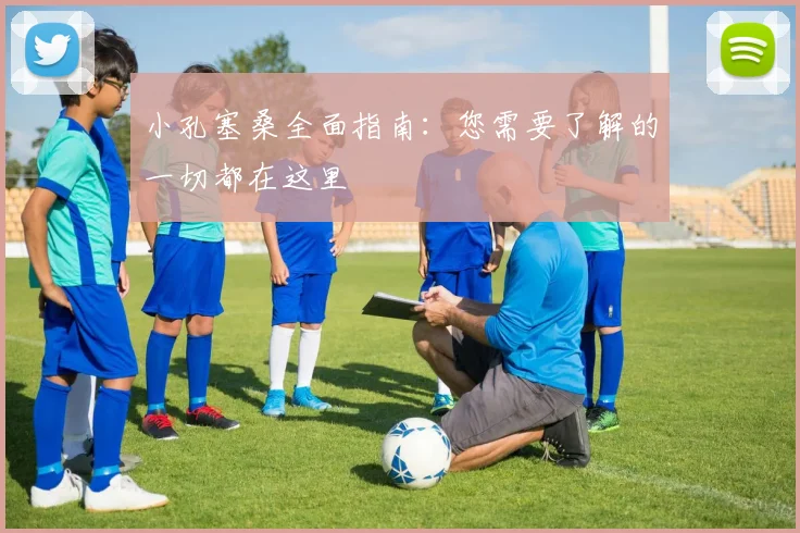 小孔塞桑全面指南：您需要了解的一切都在这里